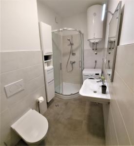 ein Bad mit einer Dusche, einem WC und einem Waschbecken in der Unterkunft Sunset Apartment in Pula