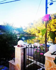 Afbeelding uit fotogalerij van Alma Libre in Gaios