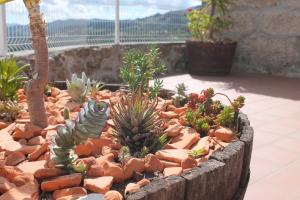 Afbeelding uit fotogalerij van Refúgio do Douro - Alojamento Local in Baião