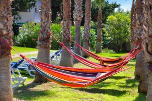 a hammock in a park between palm trees at Aparthotel Carrio Sol - Monty´s in Calpe