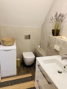 a bathroom with a toilet and a sink at Lagoon Attic Apartment Pervalka in Pervalka +14 photos