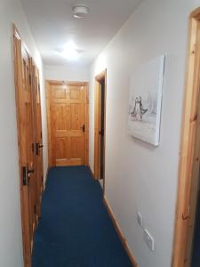 a hallway with a blue carpet and a door at Reubens Loft in Bushmills