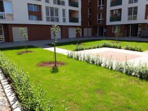 a courtyard in a building with a tree in the grass at Апартамент Трапезица in Veliko Tŭrnovo