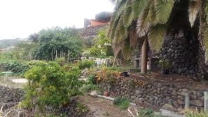een tuin met een stenen muur naast een gebouw bij Casa Ida in Garachico