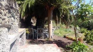 einen Tisch und Stühle unter einer Palme in der Unterkunft Casa Ida in Garachico
