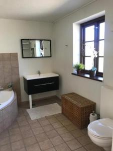 a bathroom with a sink and a toilet and a mirror at DreamCenter Ballerup Boulevard in Ballerup