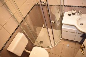 Kúpeľňa v ubytovaní Vadszőlő Apartman
