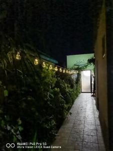 a pathway leading to a door at night with lights at Delta ca Odinioara in Sulina