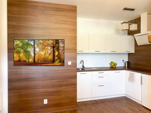 Kuchyň nebo kuchyňský kout v ubytování Apartmány U Dvou Smrků