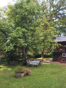 a picnic table under a tree in a yard at Appartement im alten Pferdestall in Salzhausen