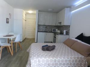 Foto dalla galleria di Suncanarias Estudio Summerland ad Arona Altre 28 foto