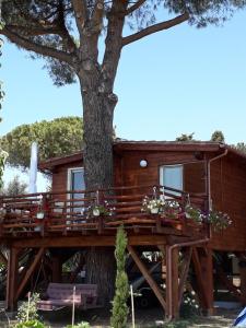a tree house built around a tree trunk at Il Vivaio in Tarquinia