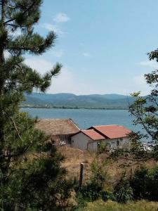 Gallery image of Family apartman Ana - Star in Golubac +35 photos