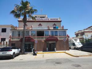 a building with a palm tree in front of it at HOTEL GUADALUPE in Chipiona