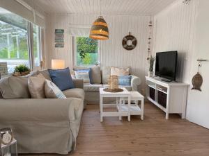 ein Wohnzimmer mit einem Sofa und einem TV in der Unterkunft Ferienhaus Grosses Meer mit Boot in Südbrookmerland
