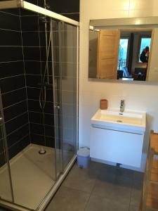 La salle de bains est pourvue d'une douche et d'un lavabo. dans l'établissement Vue Panoramique - 800m pistes Hohneck - Wifi - classé 3 étoiles, à La Bresse