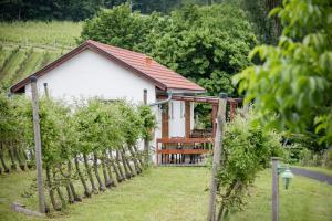 Zahrada ubytování JUFA Hotel Tieschen