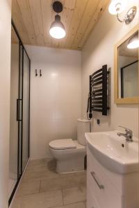 a bathroom with a toilet and a sink at Ostoja Orżyny, Dom nr 1 - W stronę jeziora in Orzyny
