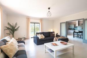 ein Wohnzimmer mit Sofa und Tisch in der Unterkunft Stunning 3-bed-2-bath villa over Douro River;Porto city - WIFI-sleep 6-10 in Aveiro