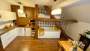 Kuchyň nebo kuchyňský kout v ubytování Apartmány U Dvou Smrků