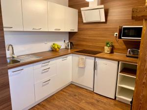 Kuchyň nebo kuchyňský kout v ubytování Apartmány U Dvou Smrků