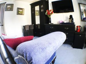 a living room with a couch and a television at Hillside Bed and Breakfast in Crediton