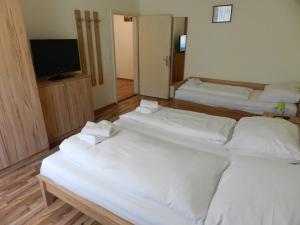 a group of three beds in a room with a television at Ferienwohnung Freinerhof in Neuberg an der Mürz