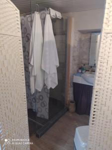 een badkamer met een douche en een wastafel bij Chambre tranquille et confortable pour étape in Ancy-le-Libre