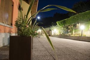 a potted plant sitting on a sidewalk at night at La Casa di Emy in Solto Collina