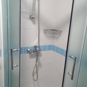 W łazience znajduje się prysznic ze szklanymi drzwiami. w obiekcie Planinska kuća sa dvorištem w mieście Zlatibor