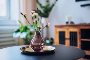 Fotografia z galérie ubytovania Szpitalna 20 Apartment nr 8 v Krakove