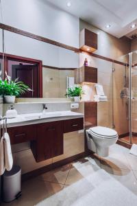 W łazience znajduje się toaleta, umywalka i prysznic. w obiekcie Szpitalna 20 Apartment nr 8 w Krakowie +12 zdjęć