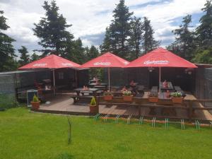 Fotografie z fotogalerie ubytování Pension Medard v destinaci Boží Dar + 37 fotografií