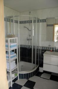 a bathroom with a shower and a sink at Ferienwohnung Pfeil in Blankenheim
