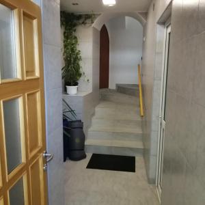 a hallway with stairs with a door and a plant at Apartmani Marijan in Crikvenica