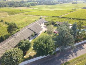 an aerial view of a vineyard with trees and a road at LE BEL AIR DE SAINT JEAN in Belleville-en-Beaujolais