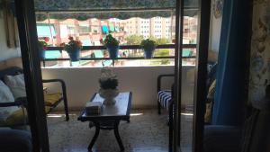 a room with a table and a window with potted plants at Apartamento Marín El Campello in El Campello