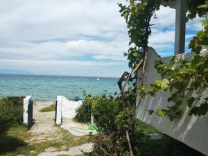 スカラ・フォルカスにあるGolden sunset beach houseの海の景色を望むビーチから見渡せる客室です。 +21枚の写真