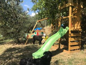 dos perros jugando en un patio de juegos con un tobogán en Podere le Muricce, en Cavriglia