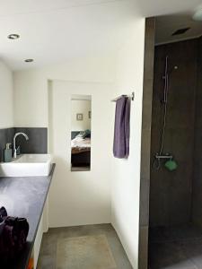 een badkamer met wastafel en douche bij Bij de Vlaamse Schuur in Wagenberg