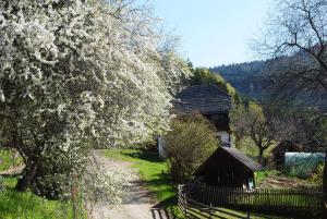 Gallery image of Schlintl-Hof in Liebenfels