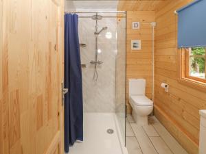 Ένα μπάνιο στο Bryn Derwen Lodge +27 φωτογραφίες