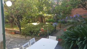 Vonkajšia záhrada v ubytovaní Villa Elena