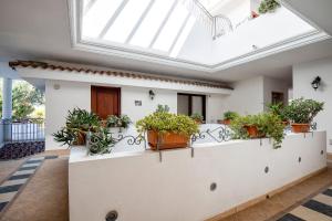 Zahrada ubytování Hotel Bonsai