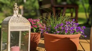 Zahrada ubytování Intsikurmu veski saunamaja - sauna inclusive