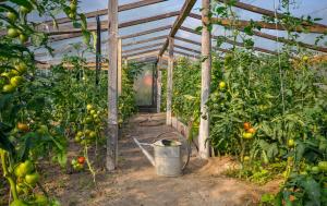 Gallery image of Wigierska Zagroda - agroturystyka in Suwałki +66 photos