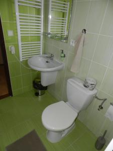 a bathroom with a white toilet and a sink at Penzion Lukov in Lukov