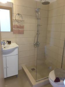 a bathroom with a shower and a toilet and a sink at Panorama Apartment in Kefálion