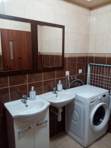 ein Badezimmer mit einer Waschmaschine und einem Waschbecken in der Unterkunft Apartament i pokoje gościnne Gniezno in Gniezno