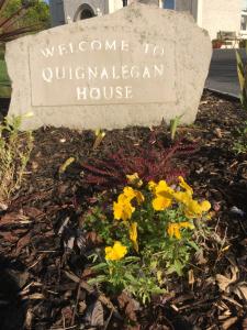 Una señal que dice bienvenido a la casa de los concursos con flores amarillas en Quignalegan House, en Ballina